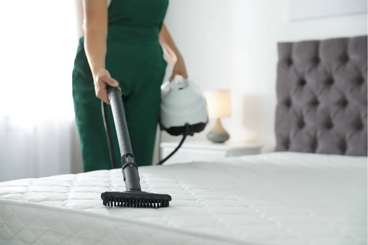 Yataktan Kedi Çişi Kokusu Nasıl Çıkar?