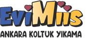 EviMiis Ankara Koltuk Yıkama
